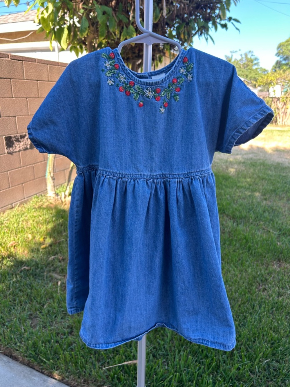 next Blue Denim Dress with Floral & Strawberry Embroidery